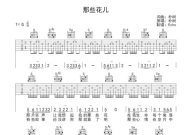 那些花儿吉他,旋律中的青春回忆
