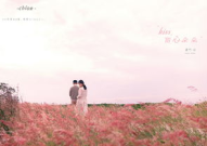 漳州到厦门拍婚纱照,婚纱摄影攻略全解析