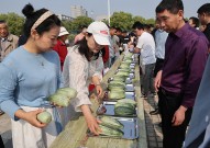 快来吃瓜！2025淮南潘集酥瓜节精彩呈现！吃瓜每日大赛