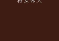 休夫 小说,从逆袭到宠爱，女主的华丽蜕变之路