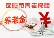 沈阳养老保险,沈阳养老保险政策解读与参保指南