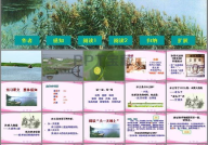 芦花荡课件,抗日战争中的英雄传奇与爱国情怀